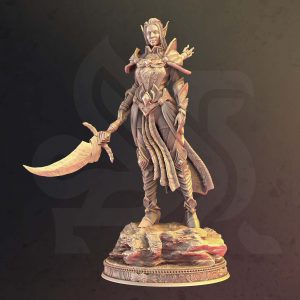 Elfa Paladin Guerrera Luchadora