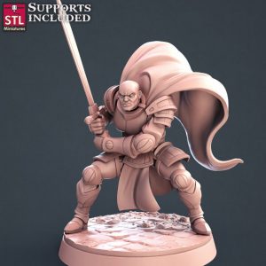 Humano Paladin Guerrero Luchador Espada Caballero PJ