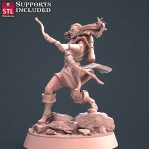 Elfo Arquero Luchador Explorador Guerrero Grupo Hombre Druida