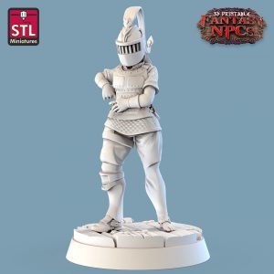 Mujer Clienta Armaduras / Armadura Espada Escudo /Comerciante Vendedor